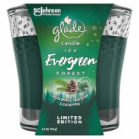 Glade Limited Edition Icy Evergreen Forest Candle Perspective: Main