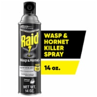 Raid Wasp & Hornet Insect Killer
