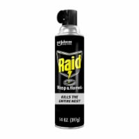 Raid Wasp & Hornet Insect Killer