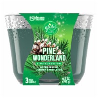 Glade® Pine Wonderland 3 Wick Candle Perspective: Main