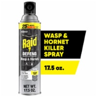 Raid Wasp & Hornet Killer, Stinging Bug Insecticide for Outdoor Use, 17.5 oz Perspective: Main