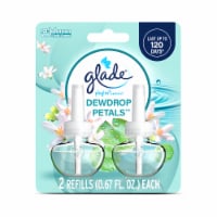 Glade PlugIns Refills Air Freshener, Dewdrop Petals, 1.34 Oz, 2 Count Perspective: Main