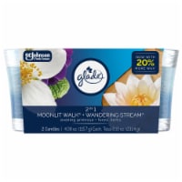 Glade 2in1 Single Wick Candles, Moonlight Walk + Wandering Stream, 8.16 oz, 2 Count Perspective: Main