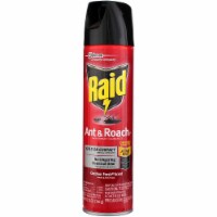 Raid Ant & Roach Killer Aerosol Outdoor Fresh, 12 oz Perspective: Main