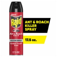 Raid® Outdoor Fresh® Scent Ant & Roach Defense Spray Outdoor Bug Killer Spray