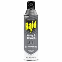 Raid Wasp & Hornet Killer, Outdoor Flying Insect Spray, 17.5 oz Perspective: Main