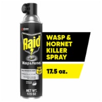 Raid® Wasp and Hornet Insecticide Spray