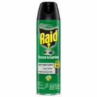 Raid® House & Garden Insect Killer Aerosol Spray Perspective: Main