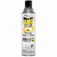 Raid® Max Foaming Wasp & Hornet Killer Perspective: Main