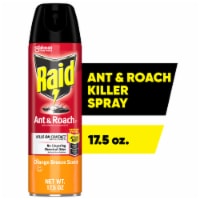 Raid Ant & Roach Killer, Indoor Insecticide, Residual Killing Power, Orange Breeze Scent, 17.5 oz Perspective: Main