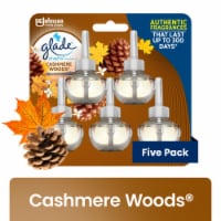 Glade® PlugIns® Fall Night Long Scented Oil Refills, 2 ct / 0.67