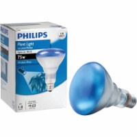 Agro-Lite 75br30 Plant 6/1 Bulb 415281 Perspective: Main