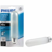 Philips 40-Watt T10 Tube Incandescent Light Bulb Perspective: Main