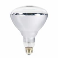 Philips 250W Clear Medium BR40 Incandescent Heat Light Bulb 416743