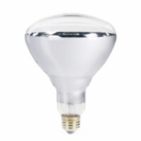 Philips BR40 Heat Lamp 250-watt Incandescent 2700 K Light Bulb Perspective: Main