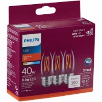 Philips 3.3-Watt (40-Watt) Medium Base Blunt Tip B11 LED Light Bulbs Perspective: Main