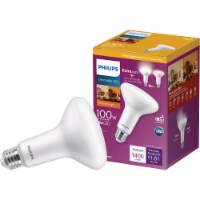 Philips 15-Watt Dimmable LED Indoor BR30 Flood Light Bulb Perspective: Main