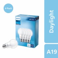 40 watt a19 incandescent bulb cheap