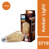 Philips 6.5-Watt (60-Watt) ST19 Vintage LED Dimmable Light Bulb - Amber Light (2000K) Perspective: Main