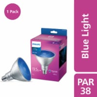 Philips 13.5-Watt PAR38 Blue LED Light Bulb Perspective: Main