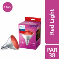 Philips 13.5-Watt PAR38 Outdoor Party LED Light Bulb