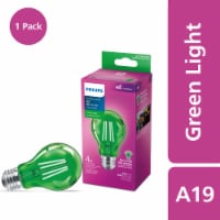Philips 4-Watt A19 Outdoor Party LED Light Bulb