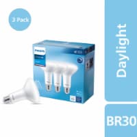 Philips 65-Watt Indoor LED Flood Light Bulbs