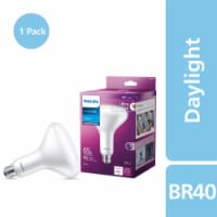 Philips 10-Watt (65-Watt) BR40 Indoor LED Flood Light Bulbs