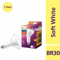 10-Watt (65-Watt) BR40 Medium Base Light Bulb