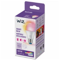 WiZ 8.8-Watt (60-Watt) A19 LED Smart Light Bulb
