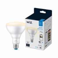 Philips WiZ Smart Lighting Perspective: Main