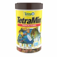 Tetra TetraMin Tropical Flakes Fish Food, 2.2 oz