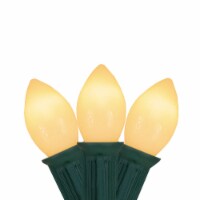 Northlight 25-Count Clear C7 Mini Christmas Light Set, 24ft Green Wire