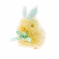 DanDee Easter Palm Pet Toy - Yellow/Light Green