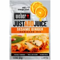 Weber Just Add Juice Sesame Ginger Marinade Mix Perspective: Main