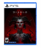 Activision Diablo PS5™ Video Game Perspective: Main