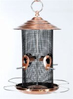 Audubon Mixed Seed Brushed Copper Bird Feeder Perspective: Main