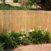 Lewis Hyman GardenPath Bamboo Screen - 4 x 8 Foot Perspective: Main