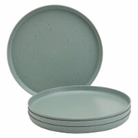 Smart Planet Lacey Green Recycled 4-Piece Dinner Plate Set Perspective: Main