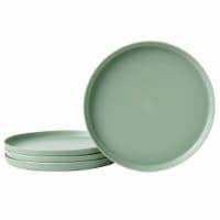 Smart Planet Recycled Plastic Dinner Plate Set - Green Perspective: Main