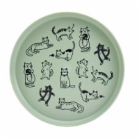 Smart Planet Recycled Plastic Salad Plate – Cats Perspective: Main