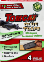 Tomcat Glue Traps Captures Mice Perspective: Main