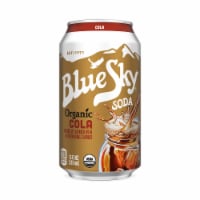 Blue Sky® Organic Cola Soda Perspective: Main
