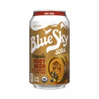 Blue Sky Organic Root Beer Soda Perspective: Main