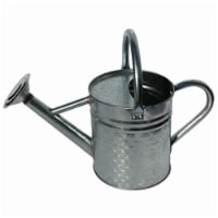 Gardener's Select W8105SZ 2.4L Watering Can Galvanized, 64 oz