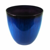 Gardener's Select Large Egg Shaped Indoor/Outdoor Planter, Blue 12