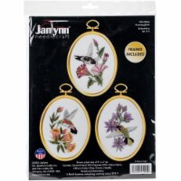 Janlynn Embroidery Kit 3 X4  Set of 3-Hummingbirds-Stitched In Floss