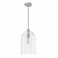 Hunter Fan Company Lochemeade 1 Bulb Glass Dome Adjustable Hanging Pendant Light