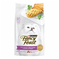 Purina Fancy Feast Dry Cat Food with Savory Chicken and Turkey Perspective: Main