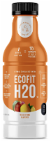 Ecofit H20™ Peach Mango Enhanced Water Perspective: Main